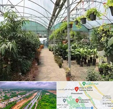 مرکز فروش گل و گیاه در قصرالدشت شیراز