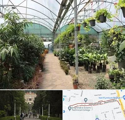 مرکز فروش گل و گیاه در بلوار معلم رشت