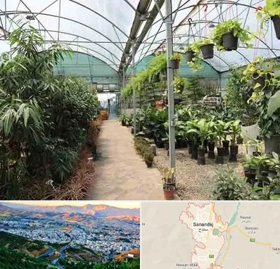 مرکز فروش گل و گیاه در سنندج