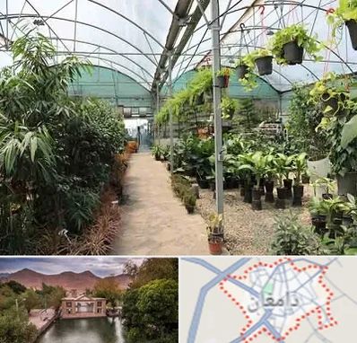 مرکز فروش گل و گیاه در دامغان