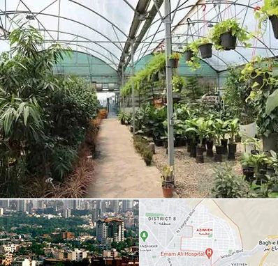 مرکز فروش گل و گیاه در عظیمیه کرج