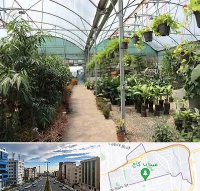 مرکز فروش گل و گیاه در سعادت آباد