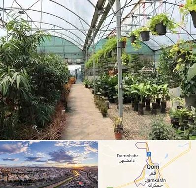 مرکز فروش گل و گیاه در قم