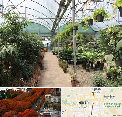 مرکز فروش گل و گیاه در ولیعصر
