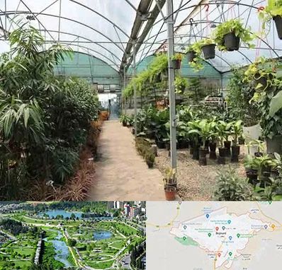 مرکز فروش گل و گیاه در بجنورد