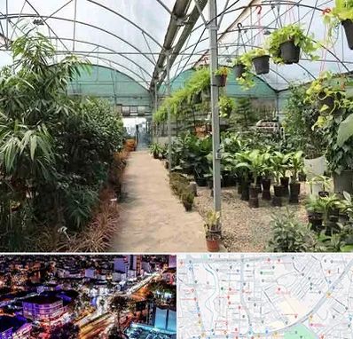 مرکز فروش گل و گیاه در منظریه رشت