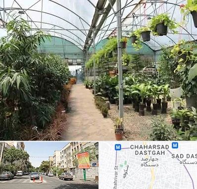 مرکز فروش گل و گیاه در چهارصد دستگاه