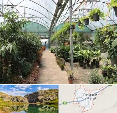 مرکز فروش گل و گیاه در فیروزکوه
