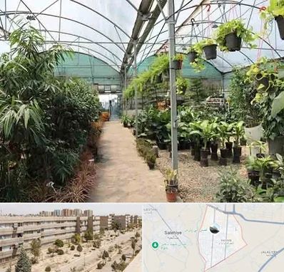 مرکز فروش گل و گیاه در واوان اسلامشهر