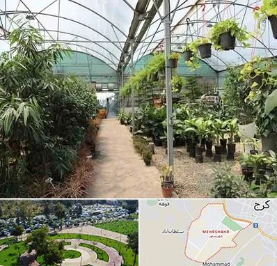 مرکز فروش گل و گیاه در مهرشهر کرج