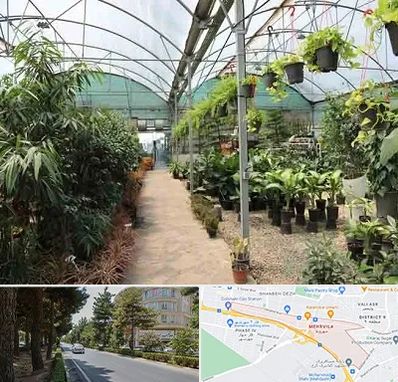 مرکز فروش گل و گیاه در مهرویلا کرج