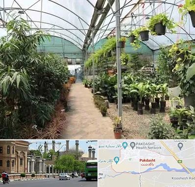 مرکز فروش گل و گیاه در پاکدشت