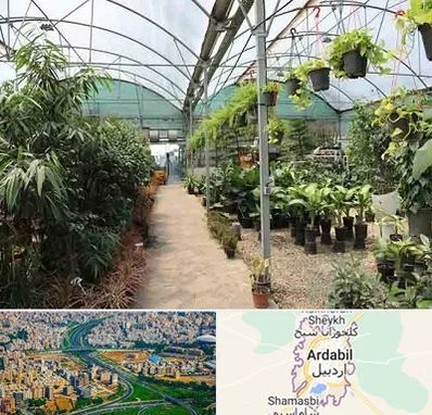 مرکز فروش گل و گیاه در اردبیل