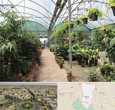 مرکز فروش گل و گیاه در قزوین