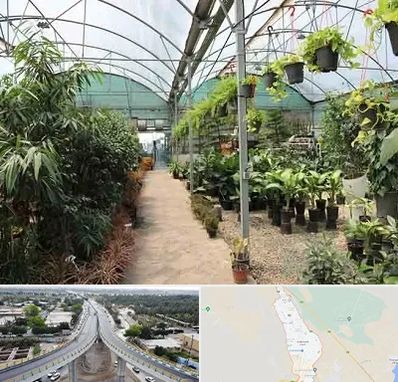 مرکز فروش گل و گیاه در اندیمشک