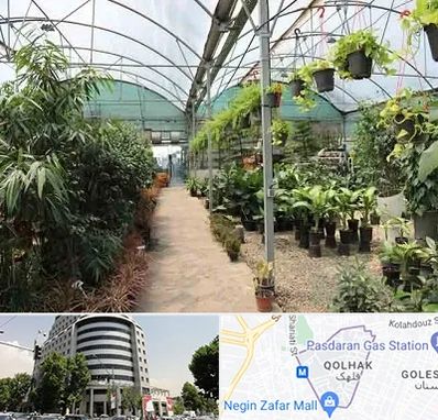 مرکز فروش گل و گیاه در قلهک