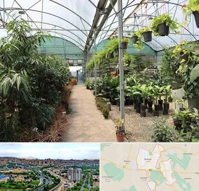 مرکز فروش گل و گیاه در شهریار