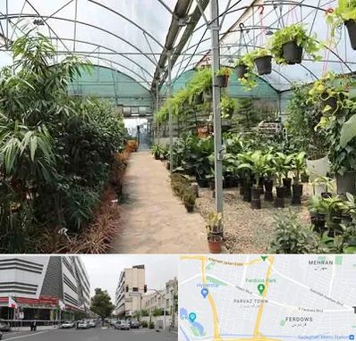 مرکز فروش گل و گیاه در بلوار فردوس