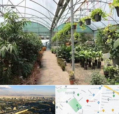 مرکز فروش گل و گیاه در هنگام