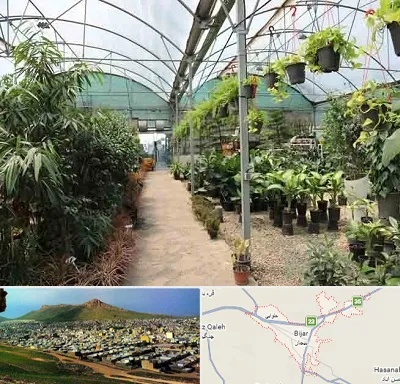 مرکز فروش گل و گیاه در بیجار