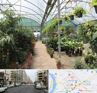 مرکز فروش گل و گیاه در زیتون کارمندی اهواز