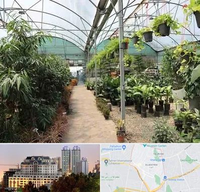 مرکز فروش گل و گیاه در فرشته