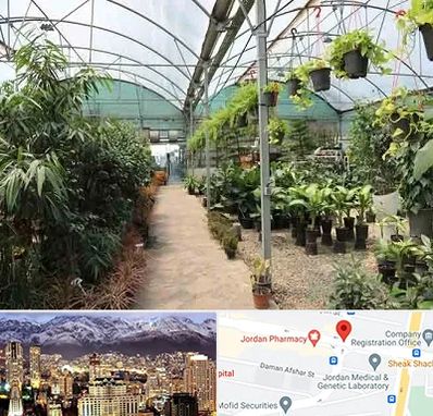 مرکز فروش گل و گیاه در جردن