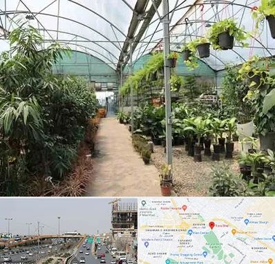 مرکز فروش گل و گیاه در بلوار توس مشهد