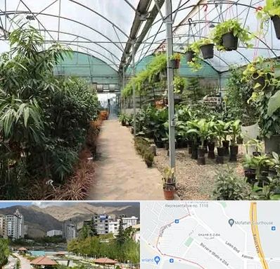 مرکز فروش گل و گیاه در شهر زیبا