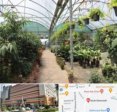 مرکز فروش گل و گیاه در سهروردی