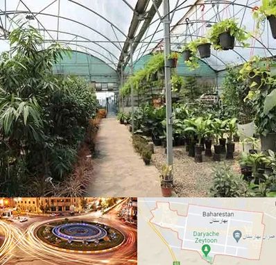 مرکز فروش گل و گیاه در بهارستان
