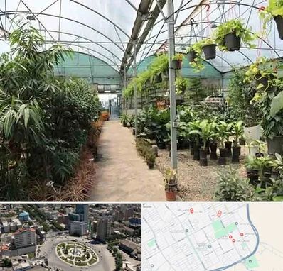 مرکز فروش گل و گیاه در زرافشان اسلامشهر