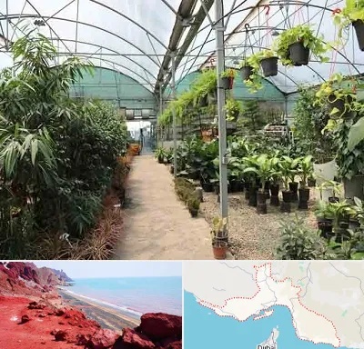 مرکز فروش گل و گیاه در هرمزگان