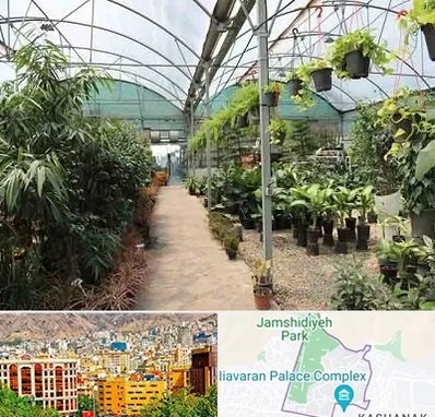 مرکز فروش گل و گیاه در نیاوران