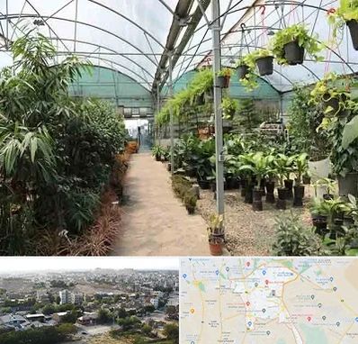 مرکز فروش گل و گیاه در منطقه 20 تهران