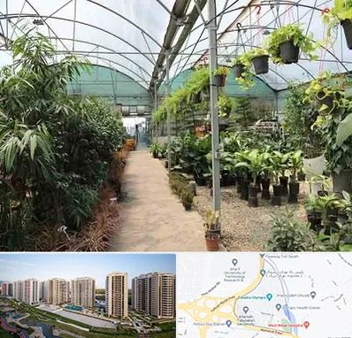 مرکز فروش گل و گیاه در المپیک