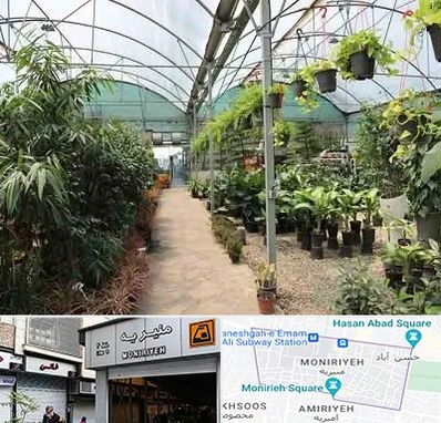مرکز فروش گل و گیاه در منیریه