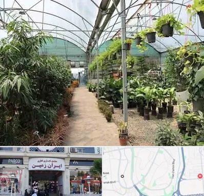 مرکز فروش گل و گیاه در ایران زمین