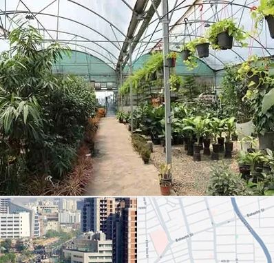 مرکز فروش گل و گیاه در خیابان بهشتی