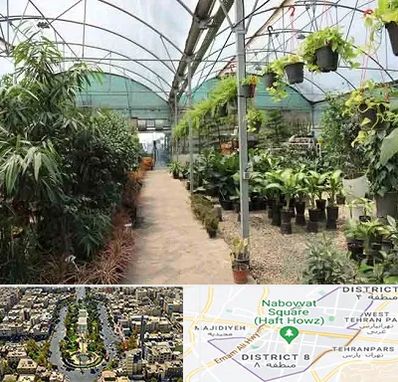 مرکز فروش گل و گیاه در نارمک