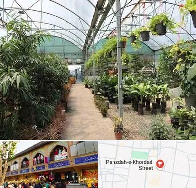 مرکز فروش گل و گیاه در 15 خرداد