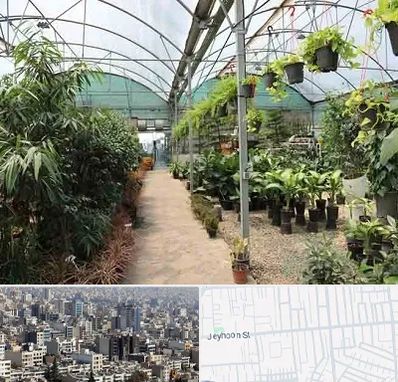 مرکز فروش گل و گیاه در جیحون