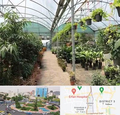 مرکز فروش گل و گیاه در ونک