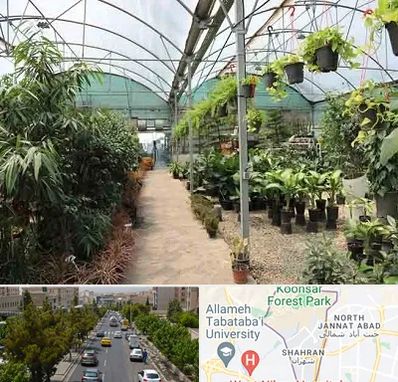 مرکز فروش گل و گیاه در شهران