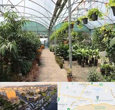 مرکز فروش گل و گیاه در تهرانپارس