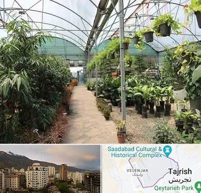 مرکز فروش گل و گیاه در زعفرانیه