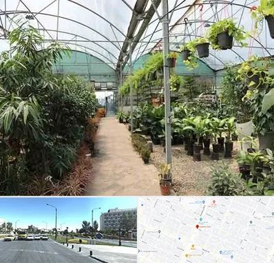 مرکز فروش گل و گیاه در بلوار کلاهدوز مشهد