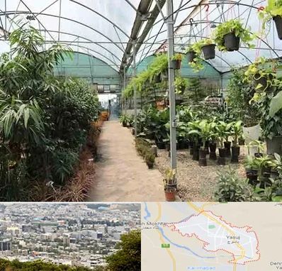 مرکز فروش گل و گیاه در یاسوج