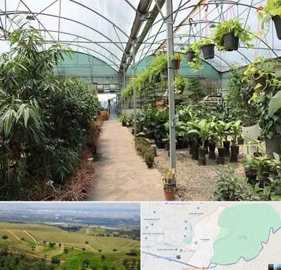 مرکز فروش گل و گیاه در سوهانک