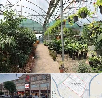 مرکز فروش گل و گیاه در قائمیه اسلامشهر